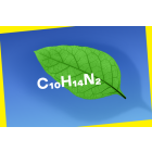 Čo je nikotín? Kľúčové fakty o nikotínových vrecúškach VELO