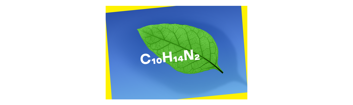 Čo je nikotín? Kľúčové fakty o nikotínových vrecúškach VELO